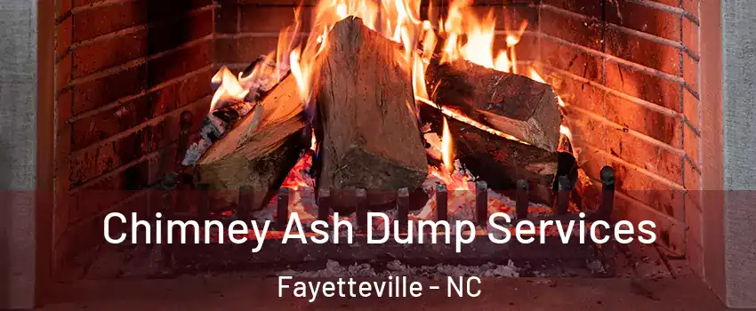 Chimney Ash Dump Services Fayetteville - NC