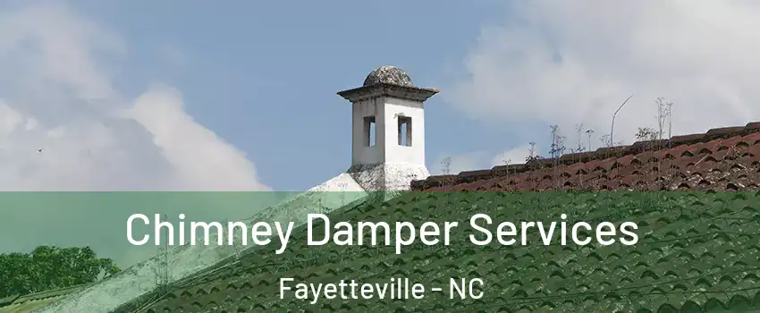 Chimney Damper Services Fayetteville - NC