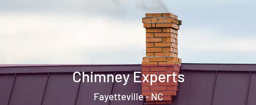 Chimney Experts Fayetteville - NC