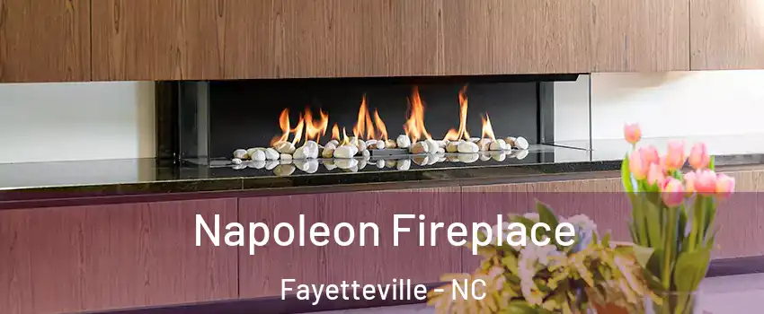 Napoleon Fireplace Fayetteville - NC