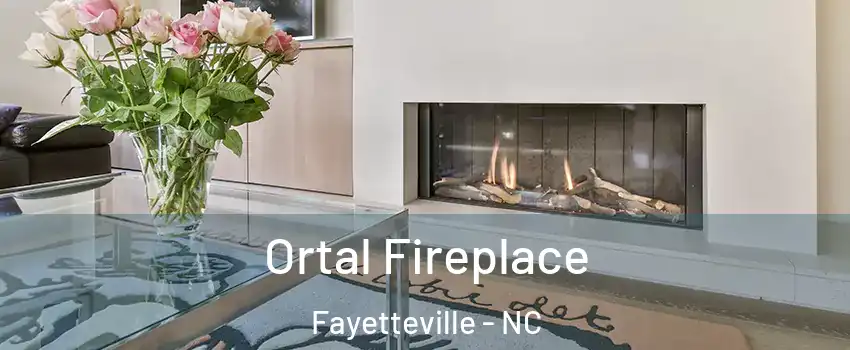 Ortal Fireplace Fayetteville - NC